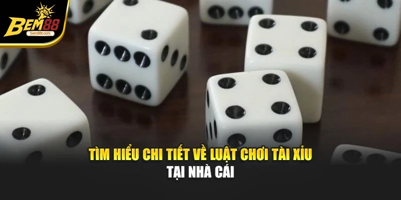 Tìm hiểu chi tiết về luật chơi tài xỉu tại nhà cái
